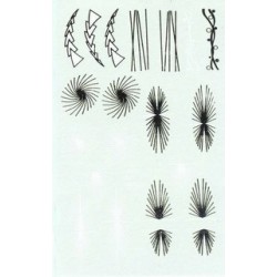 Tatuaje unghii Z37 apa Tatuaje pe baza de apa